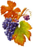 Logo de Armarios Bodega OAK